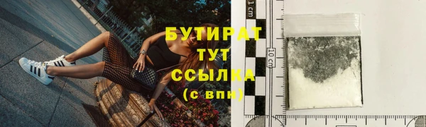 крисы Няндома