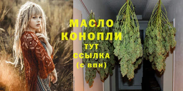крисы Няндома