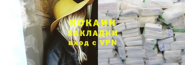 крисы Няндома