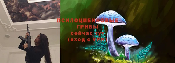 крисы Няндома