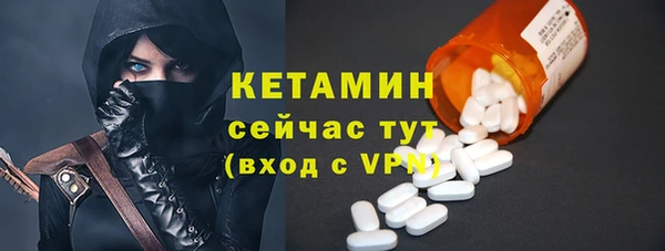 крисы Няндома