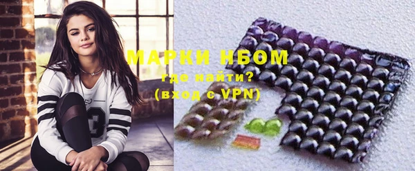 крисы Няндома