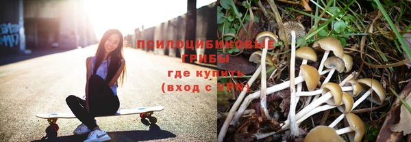 мяу мяу мука Нягань