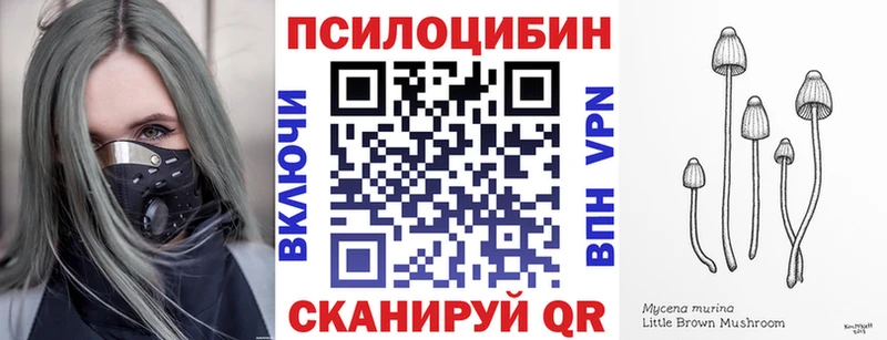 как найти закладки  Пионерский  Псилоцибиновые грибы ЛСД 