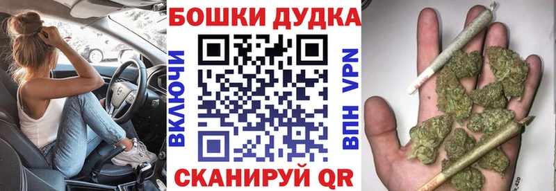 где купить   Пионерский  Марихуана Amnesia 